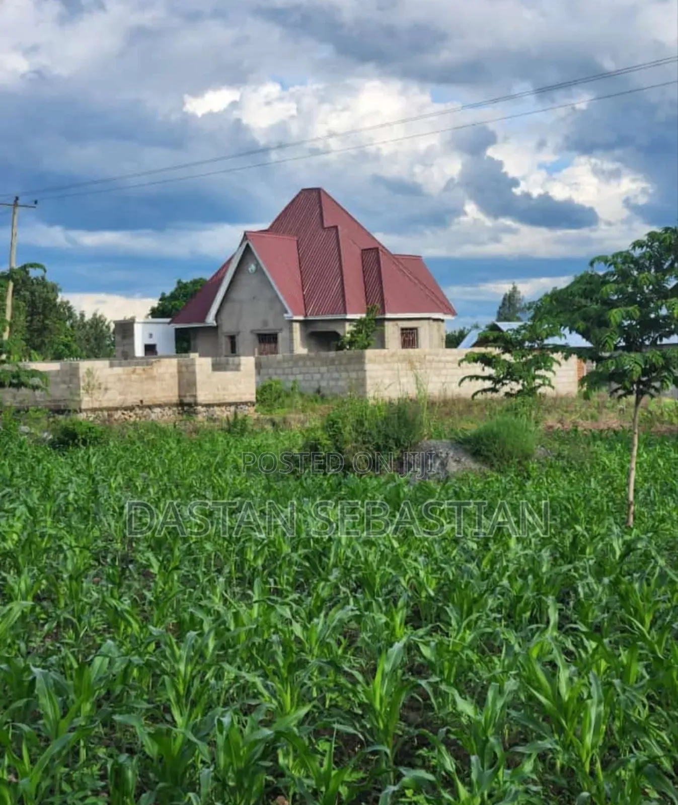 Viwanja Kisongo Waya, Kisongo Yakini