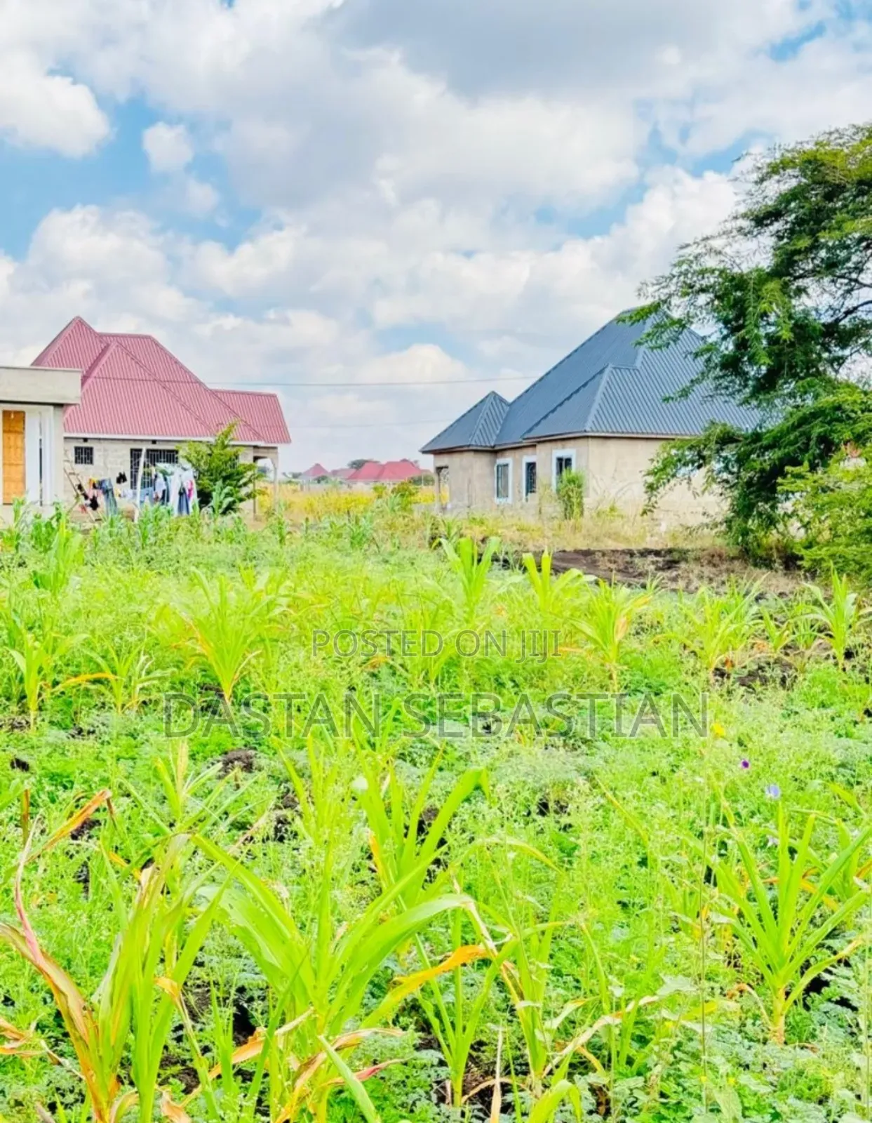 Viwanja Arusha Na Moshi Vimepimwa Kabisa
