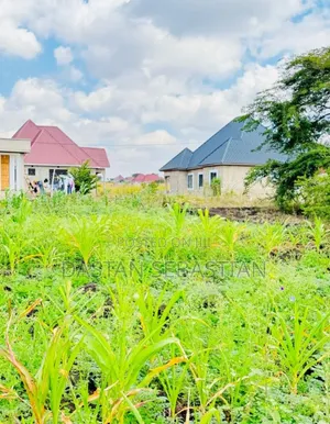 Viwanja Arusha Na Moshi Vimepimwa Kabisa
