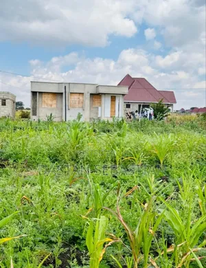 Viwanja Arusha Na Moshi Vimepimwa Kabisa