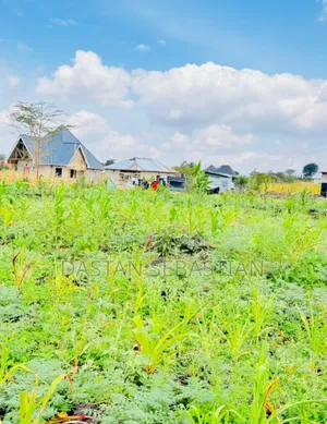 Viwanja Arusha Na Moshi Vimepimwa Kabisa