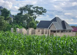 New Project Arusha - Maji Ya Chai