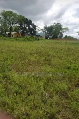 Viwanja Arusha - Usariver