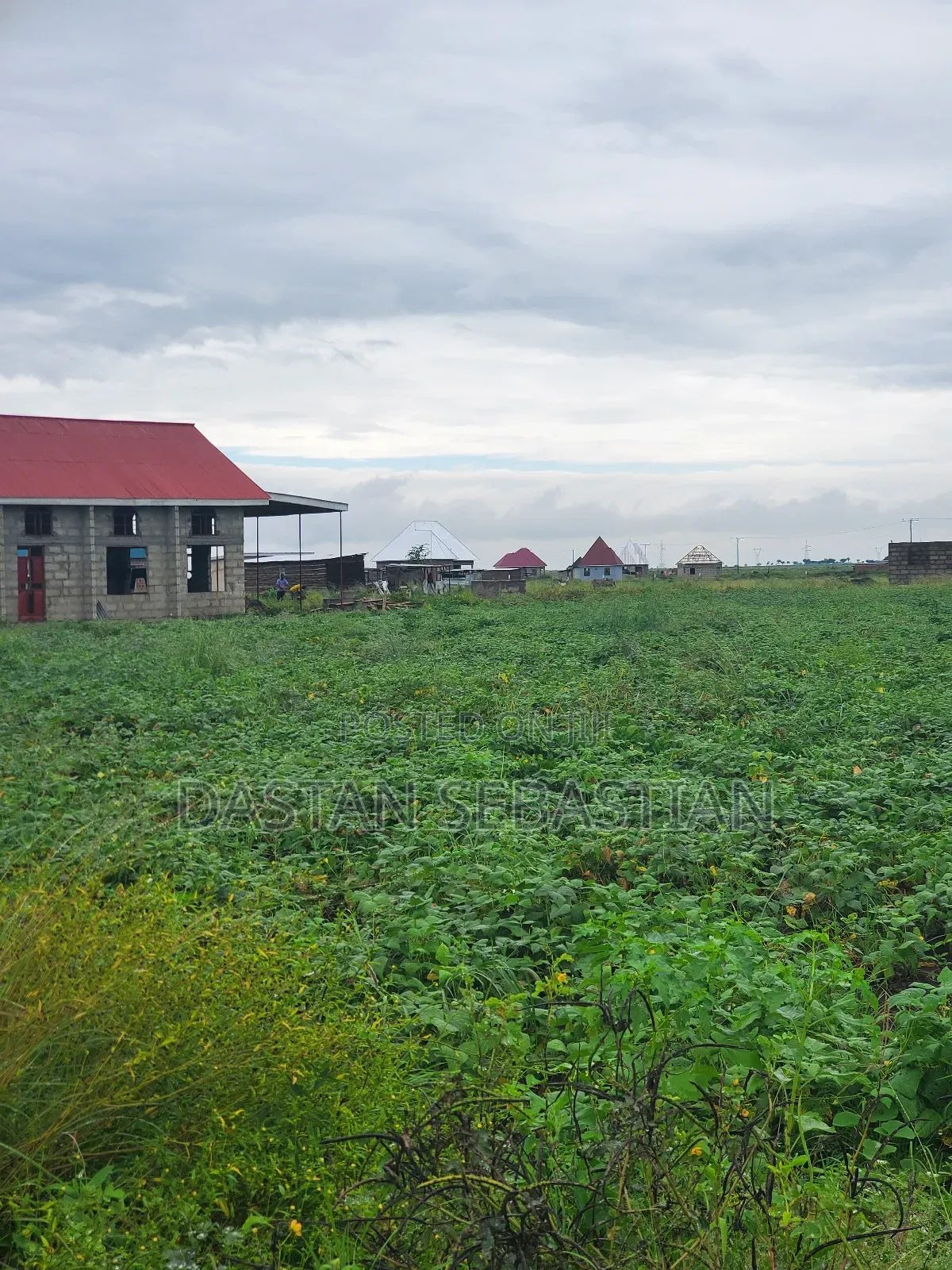 Viwanja Boma Kwa Wasomali