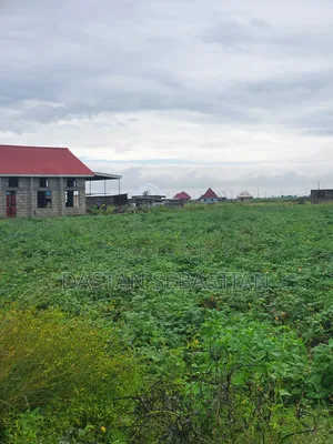 Viwanja Boma Kwa Wasomali