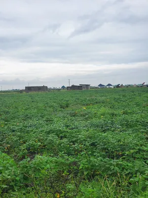 Viwanja Boma Kwa Wasomali