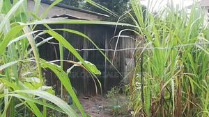 Plot for Sale at Bunju B Mabwepande