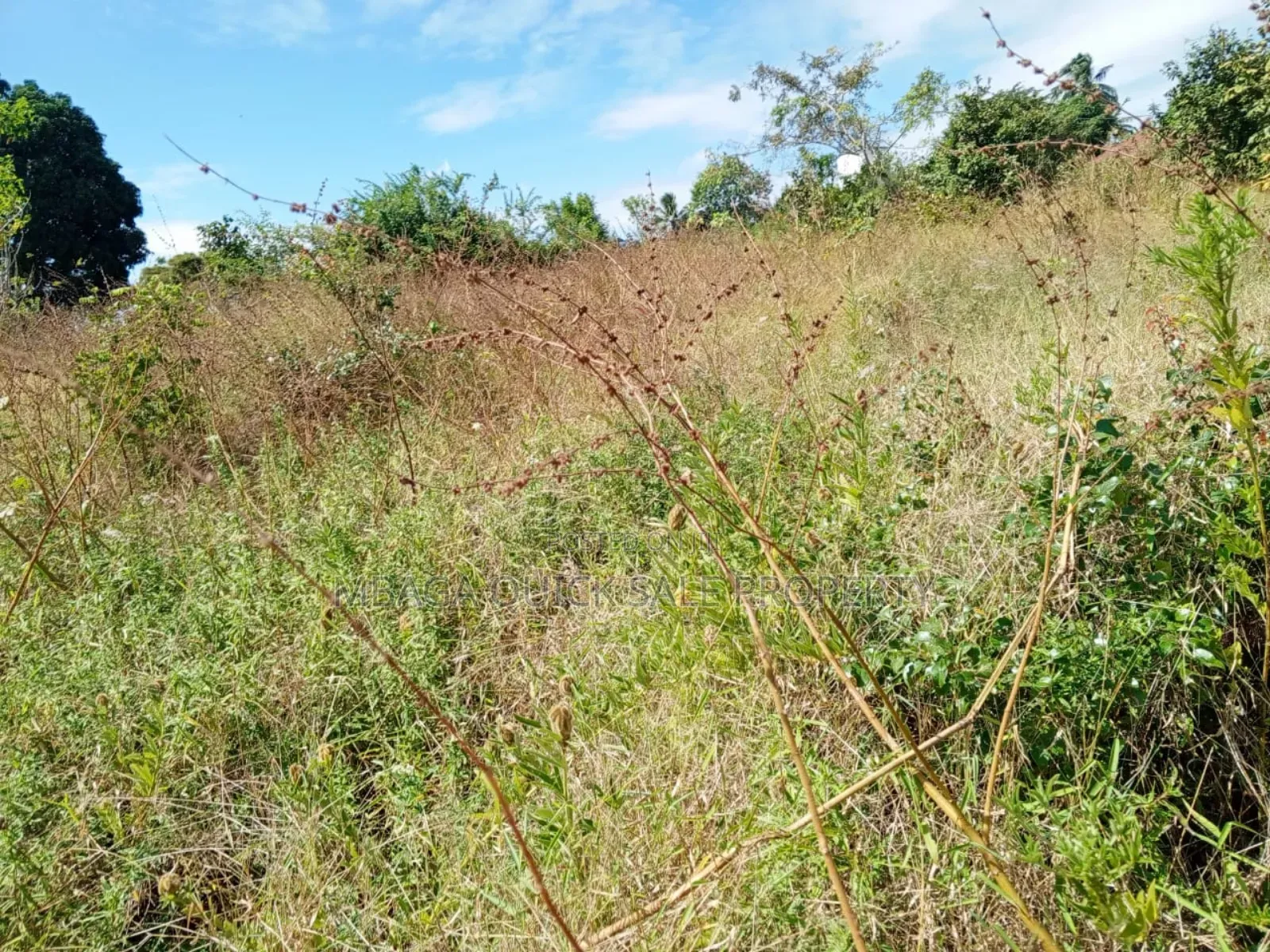 Plot for Sale at Kibaha Madafu