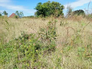 Plot for Sale at Kibaha Madafu