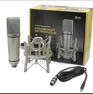 U87 Condenser Microphone
