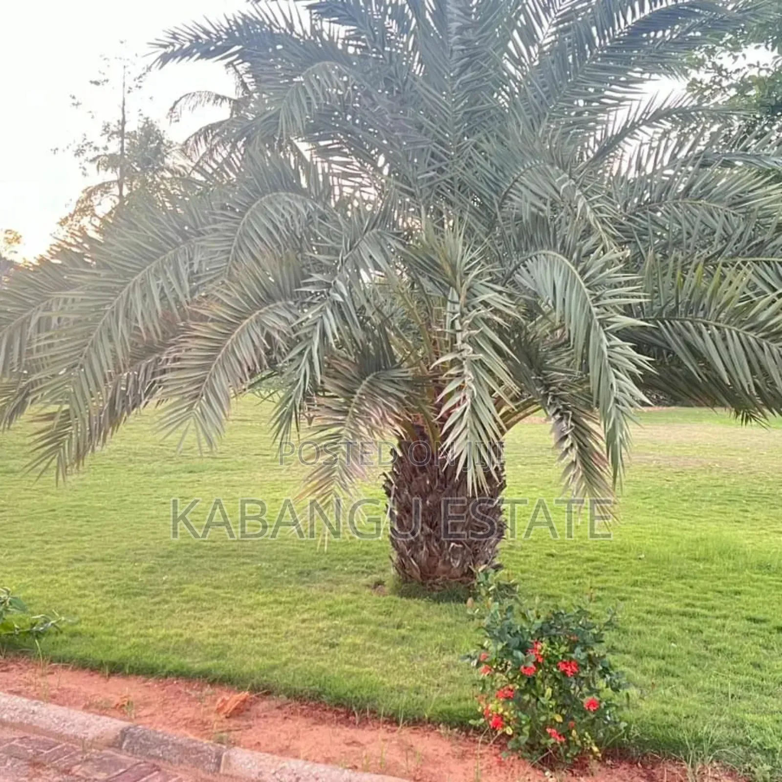 4bdrm House in Mbezibeach for rent