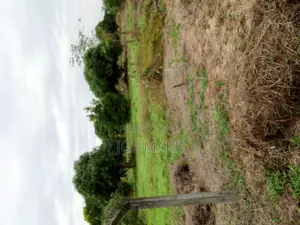 Plot for Sale at Kibaha Mlandizi