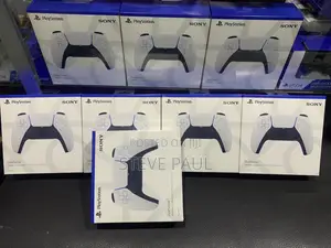Ps5 Controller Brand New