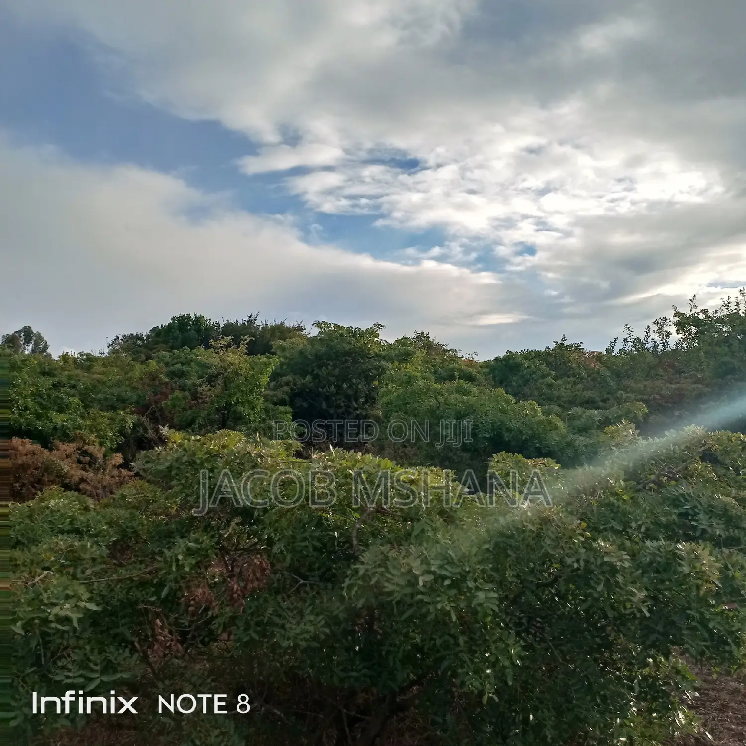 Ardhi Inauzwa-Ekari 800