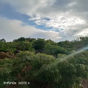 Ardhi Inauzwa-Ekari 800