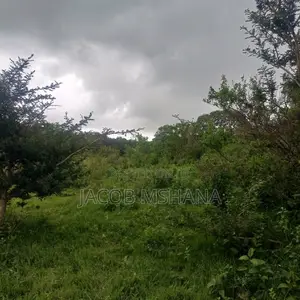 Ardhi Inauzwa-Ekari 800