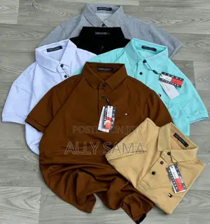 Mens Pollo Tshirtformsix Cotto