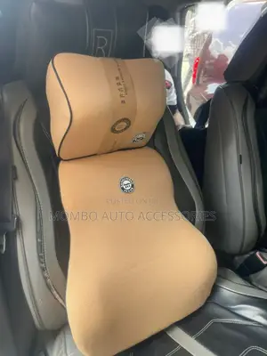 Car Back Support