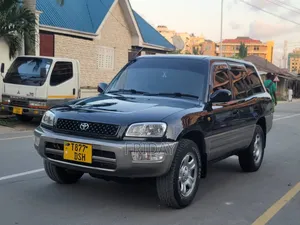 Toyota RAV4 2002 Blue