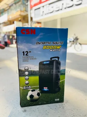 CSN Portable Wireless Speaker 8000w