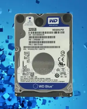 WD 320GB Laptop Internal Hard Disk Drive (HDD)