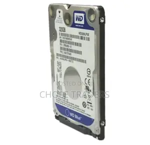 WD 320GB Laptop Internal Hard Disk Drive (HDD)