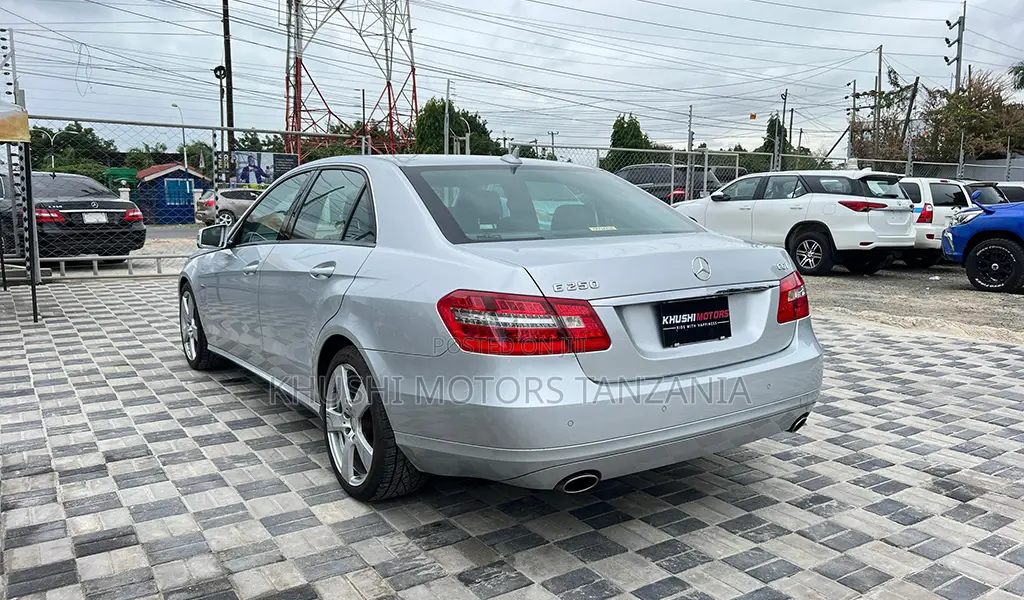 Mercedes-Benz E250 2010 Silver