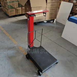Manual Weight Scale 300kg