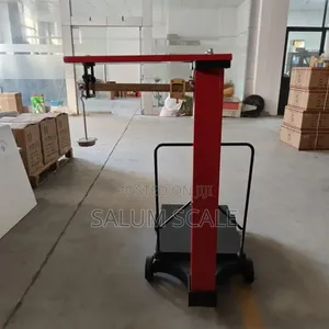 Manual Weight Scale 300kg