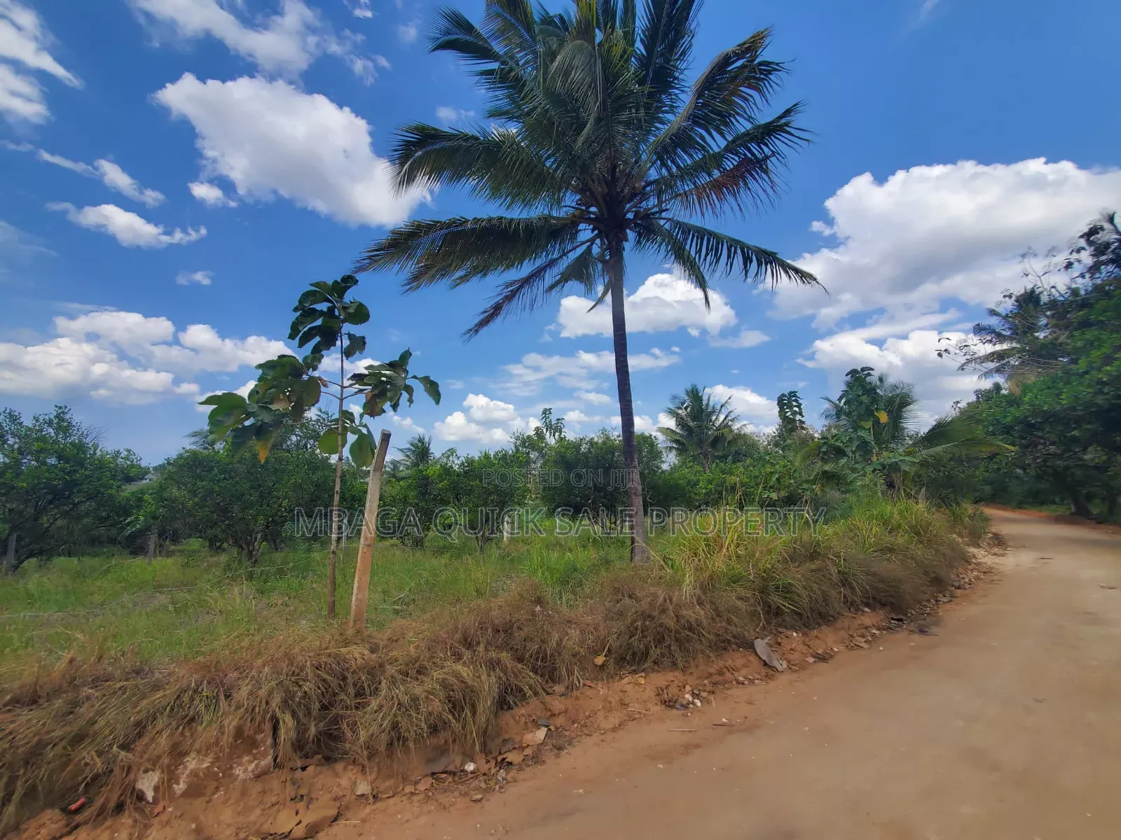 Plot for Sale at Madale Mkoroshini