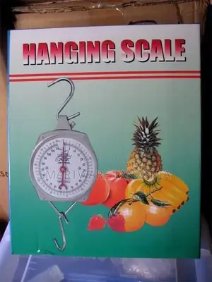 Spring Mechanical Hanging Scale For Kitchen Fishing Scale
