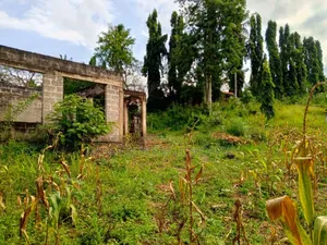 Plot for Sale at Mbezi Center