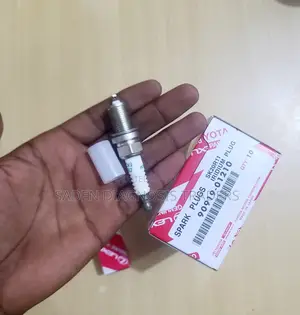 Spack Plug