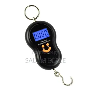 Potable Scale 50kg