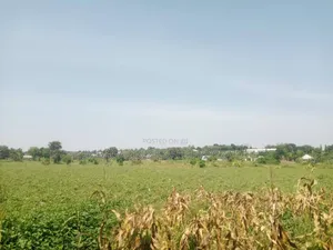 Plot for Sale at Kerege Bagamoyo