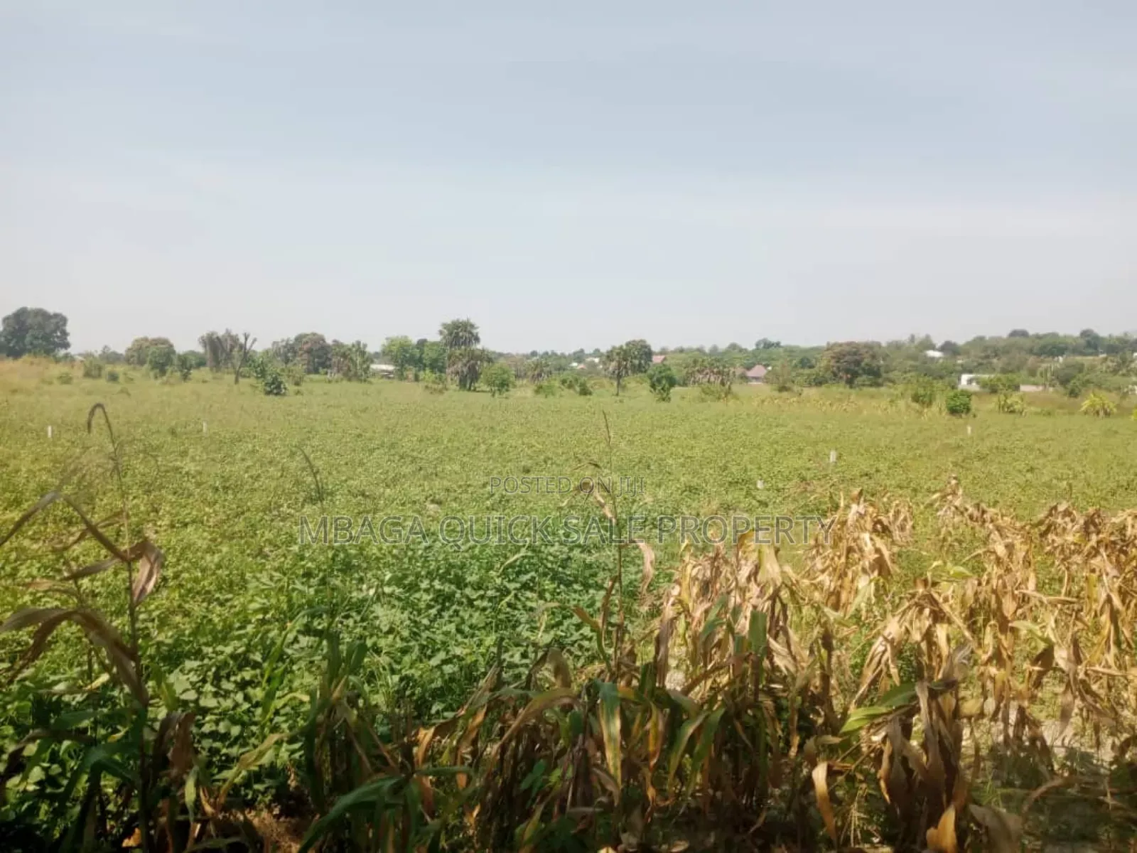 Plot for Sale at Kerege Bagamoyo