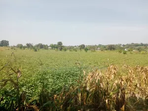 Plot for Sale at Kerege Bagamoyo