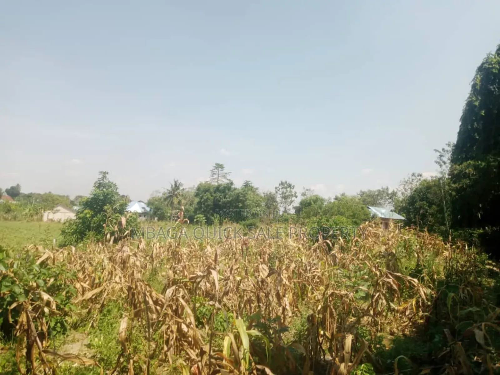 Plot for Sale at Kerege Bagamoyo
