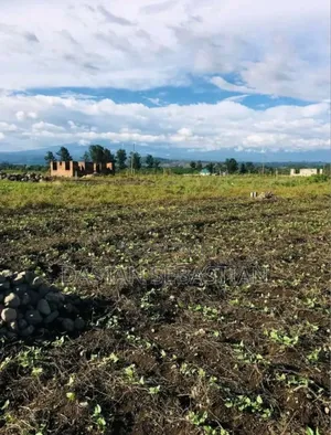 Boma Ng'ombe Kumenoga