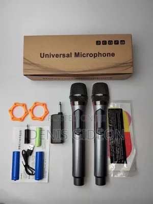 Double Wireless Microphone