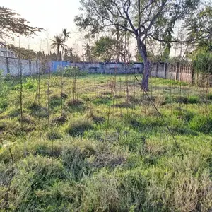 Plot for Sale at Ununio