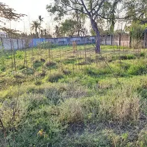 Plot for Sale at Ununio
