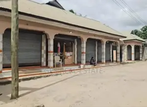 11bdrm House in Mbagala Zackiem, Temeke for sale
