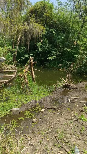 Beach Plot for Sale