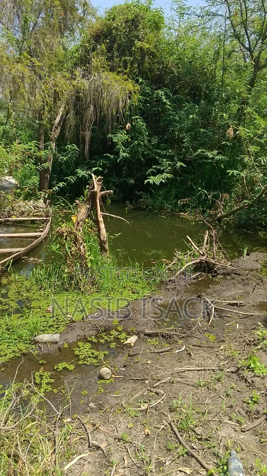 Beach Plot for Sale