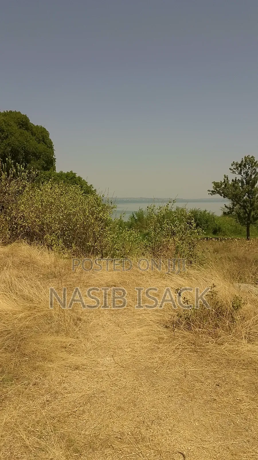Beach Plot for Sale