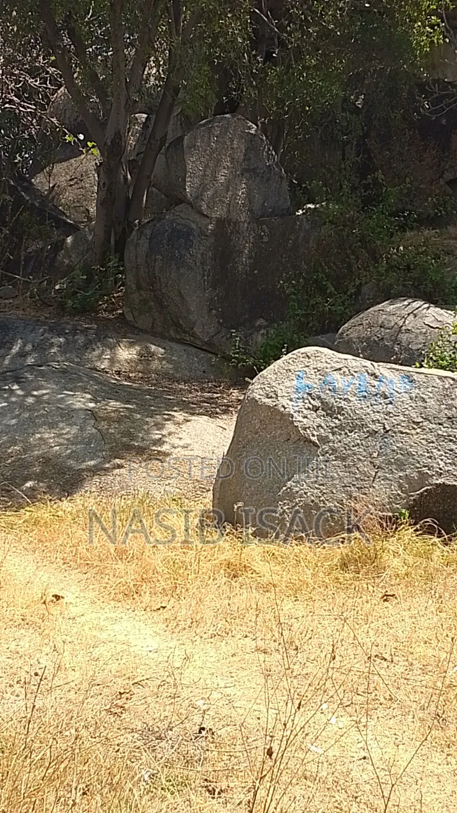 Beach Plot for Sale
