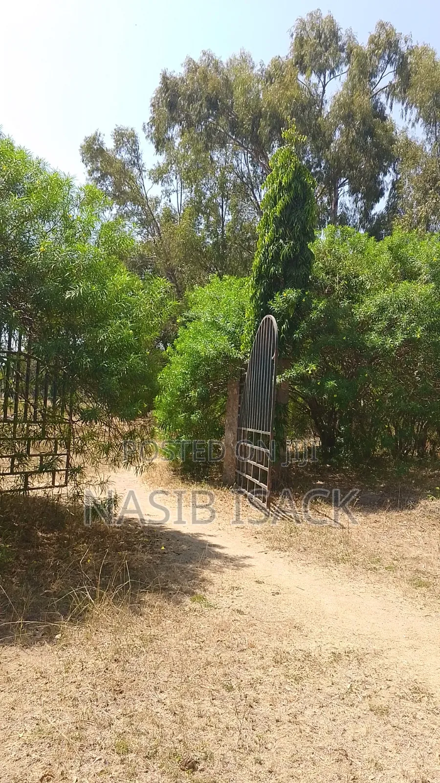 Beach Plot for Sale