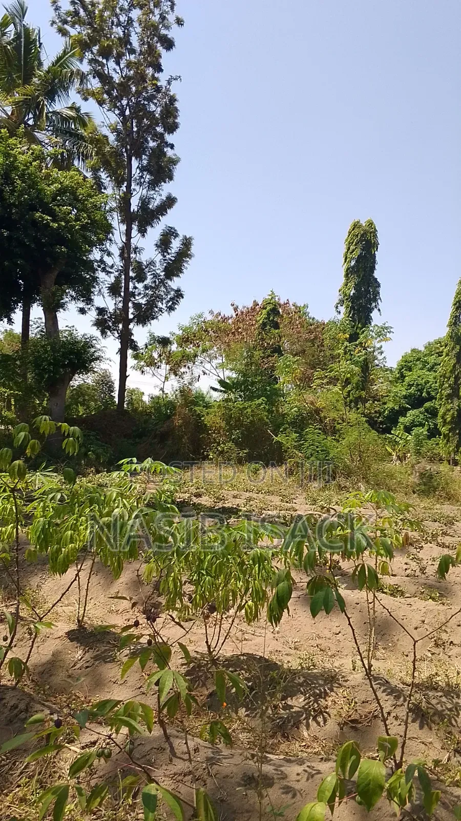 Beach,Mwanza