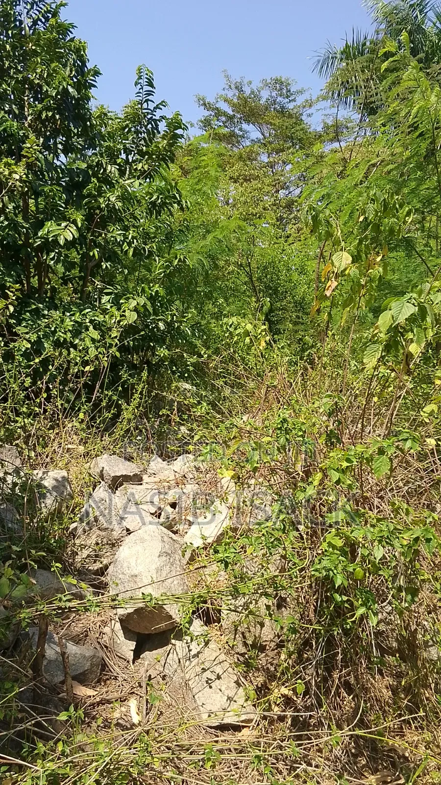 Beach,Mwanza